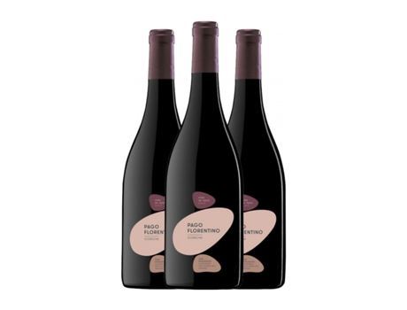 Vinho ARZUAGA Pago Florentino Cencibel Crianza (0.75 L - 3 Unidades)