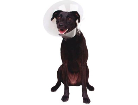 Colar Isabelino para Cães  (33-41x20 cm)
