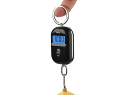 Balança Digital De Gancho Para Bagagem, Mini Balança Eletrônica, 25 Kg X 5 G, Com Tela Lcd Retroiluminada, Para Cozinha, Steelyard Aquaforge
