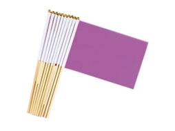 Mini Bandeira 20Pcs Diy para Desfiles e Festas 14X21Cm NEVEANCE