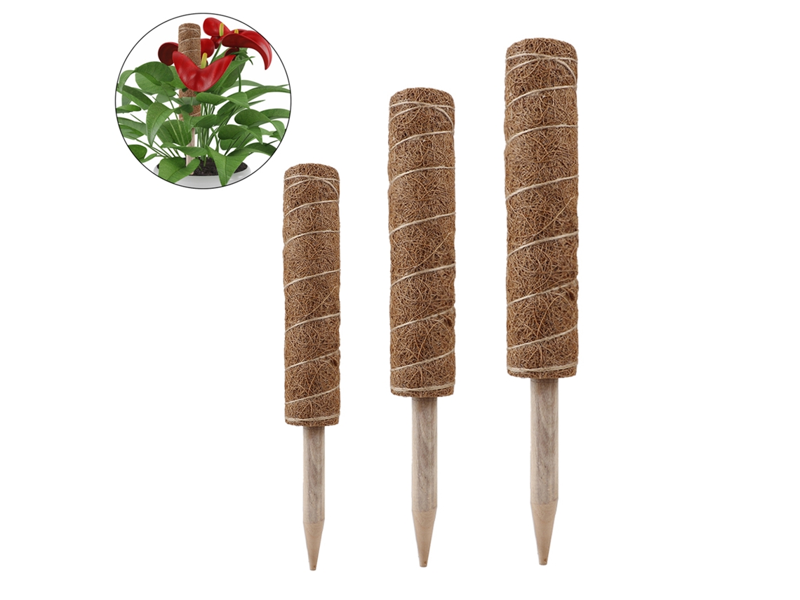 3pcs Vara De Coco Para Trepadeiras De Plantas