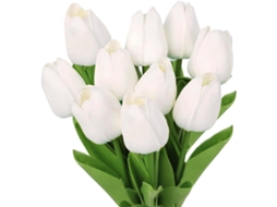 Conjunto de 10 Tulipas Artificiais em Vaso Buquê de Tulipas Artificiais Brancas para Casamentos, Festas e Decoração de Casa AQUAFORGE