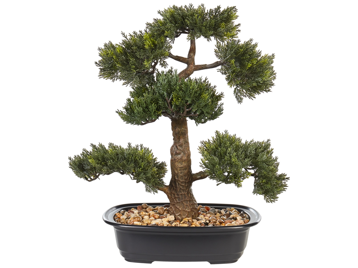 Planta artificial BELIANI Pine de Material sintético Verde 34x7x44