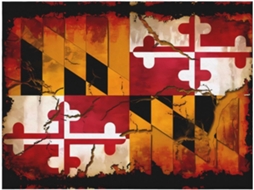 Manta de Flanela Ultramacia Phayah com Estampa Vintage da Bandeira Maryland em Madeira Ideal para Sofá Cama Sa