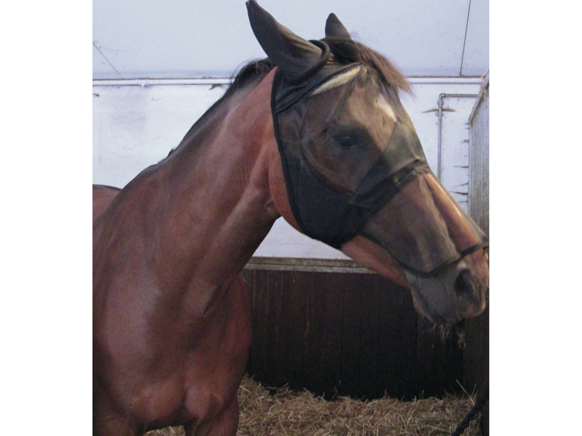 Máscara de Cavalo com Peça de Nariz HORSEGUARD