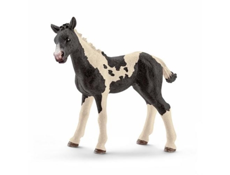 Figura  Potro Pinto