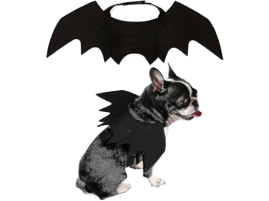 Fantasia De Morcego Para Halloween De Pets