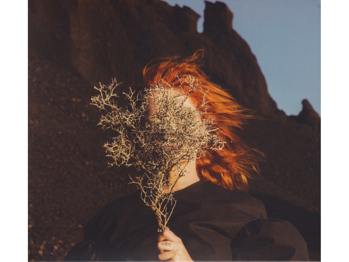 CD Goldfrapp - Silver Eye