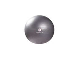 Gymball Cinza Sveltus (65cm)