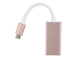 Adaptador Type c para Dp LAXISCREED