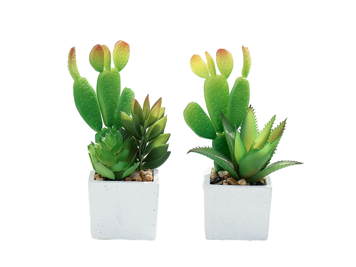 2 Peças de Planta Suculenta Cacto Simulada Bonsai Ornamentos Pequenos Criativos em Vasos Quadrados NEVEANCE