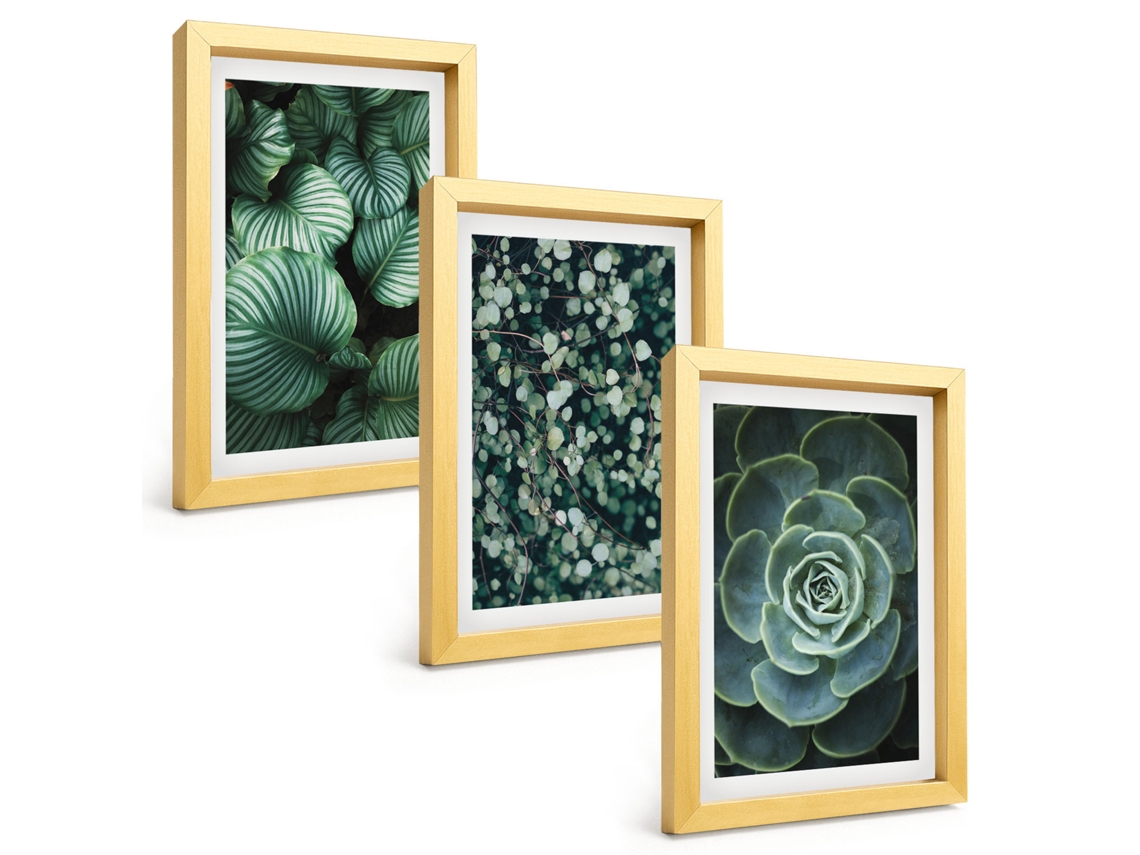 Composição De Quadros Folhas Verdes, Suculentas, Estilo Espelharte (3 Peças 20x30 Cm)