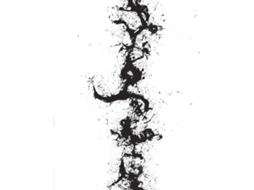 CD John Zorn - The True Discoveries Of Witches And Demons