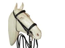 Adestramento para Bridão e Freio Winoseband 0131625Nf Beige Fullmarjoman Distribucion