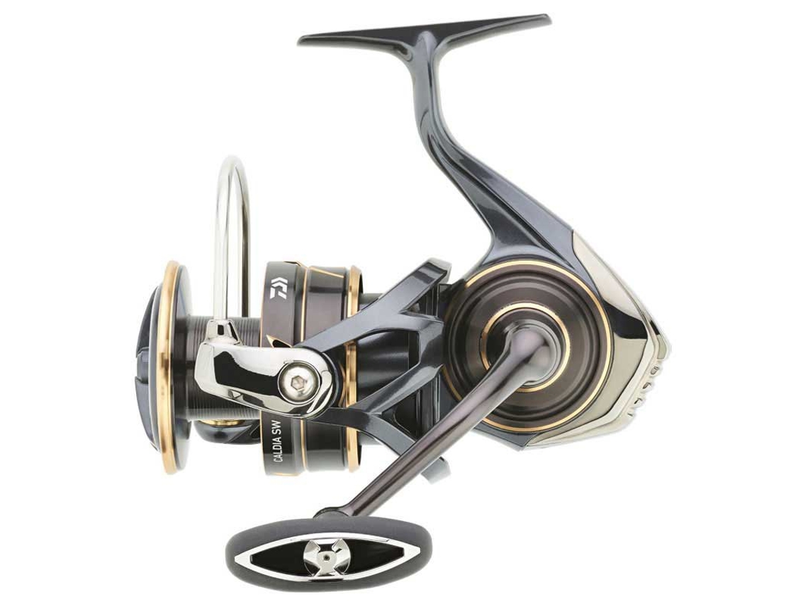 Molinete Spinning Caldia Sw 2023 Prateado 4000Dcxhdaiwa