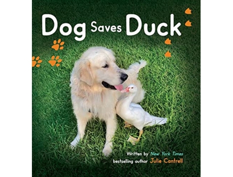 Livro Dog Saves Duck de Julie Cantrell (Inglês)