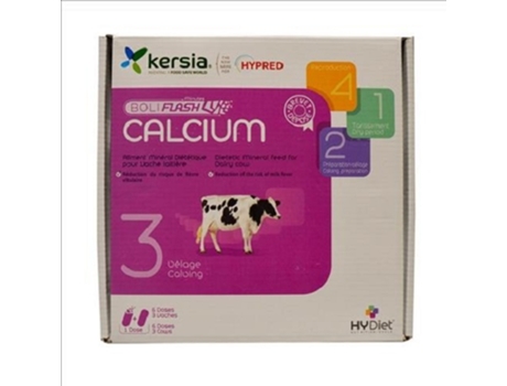 KERSIA Hy Nutrition Boliflash Calcium Estuche 12 Bolos