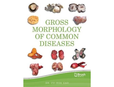 Livro gross morphology of common diseases de zu-hua gao (inglês)