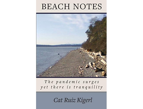 Livro Beach Notes de Cat Ruiz Kigerl (Inglês)