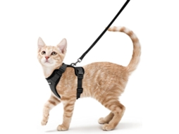 Harness Cat com Chumbo, Black Soft Harness For Cats, Chest Harness, Cat Harness, Escape Proof, Adjustable Cat Vest, Black, M STELASPLEN