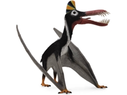 Figura COLLECTA 1: Guidraco (com maxila móvel)
