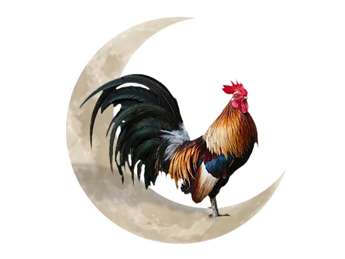 Decoração de Parede em Metal Galo e Lua