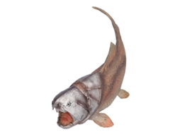 Primerox modelo de Peixe Artificial Realista Zheng Período Jurássico Brinquedo Arqueológico para Crianças Marrom