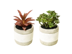 2 Peças de Plantas Suculentas Simuladas em Vaso Ornamentos Criativos Vasos de Cimento em Duas Cores NEVEANCE