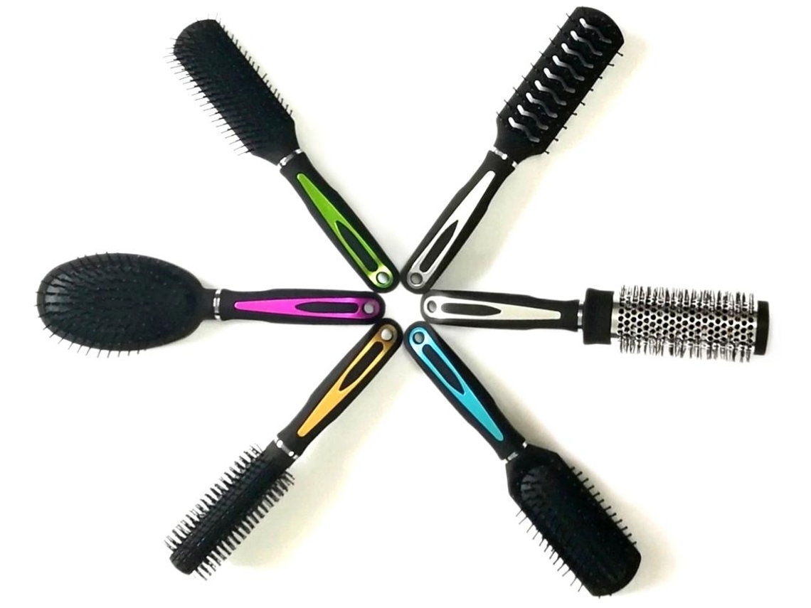 Pacote Com 6 Escovas De Cabelo Grandes Exclusivas Escova De Cabelo Brilvibera