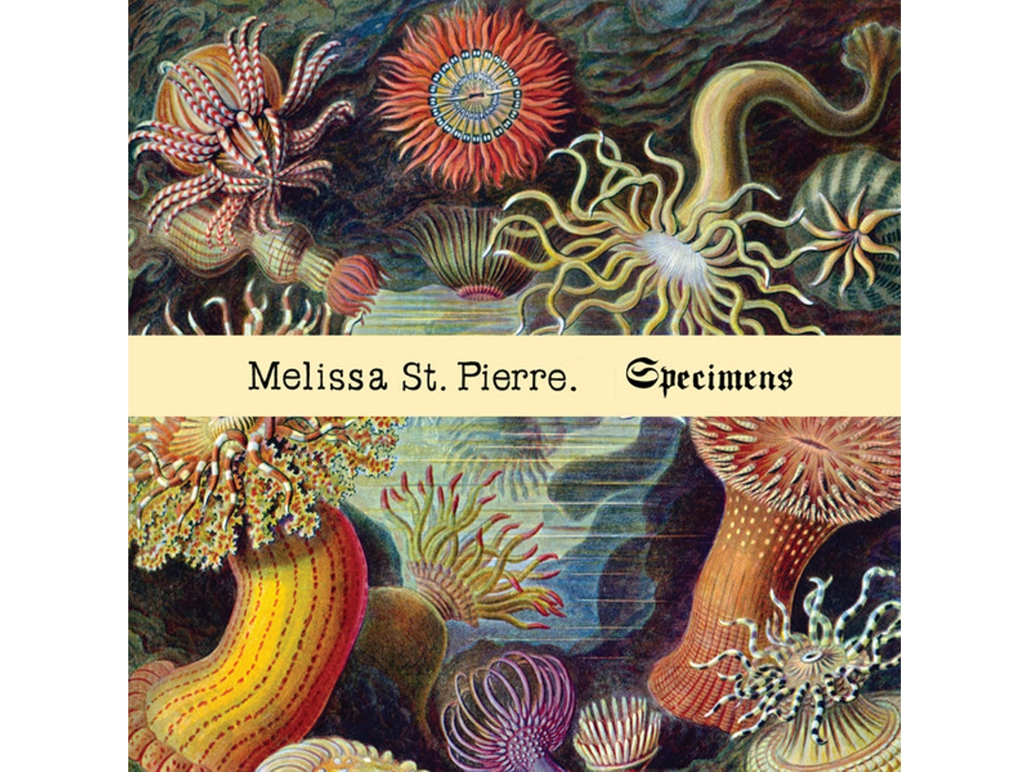 CD Melissa St. Pierre - Specimens