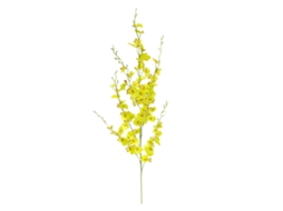 Orquídea Artificial de Seda Dançante com Caule Longo | S/MARCA