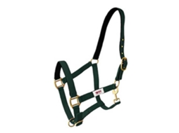 Camada Dupla Carabiner Halter Nylon Verde Cobhispano Hipica