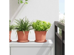 Vidaxl Vasos De Plantas 24 Unid. Vermelho Tijolo Plástico