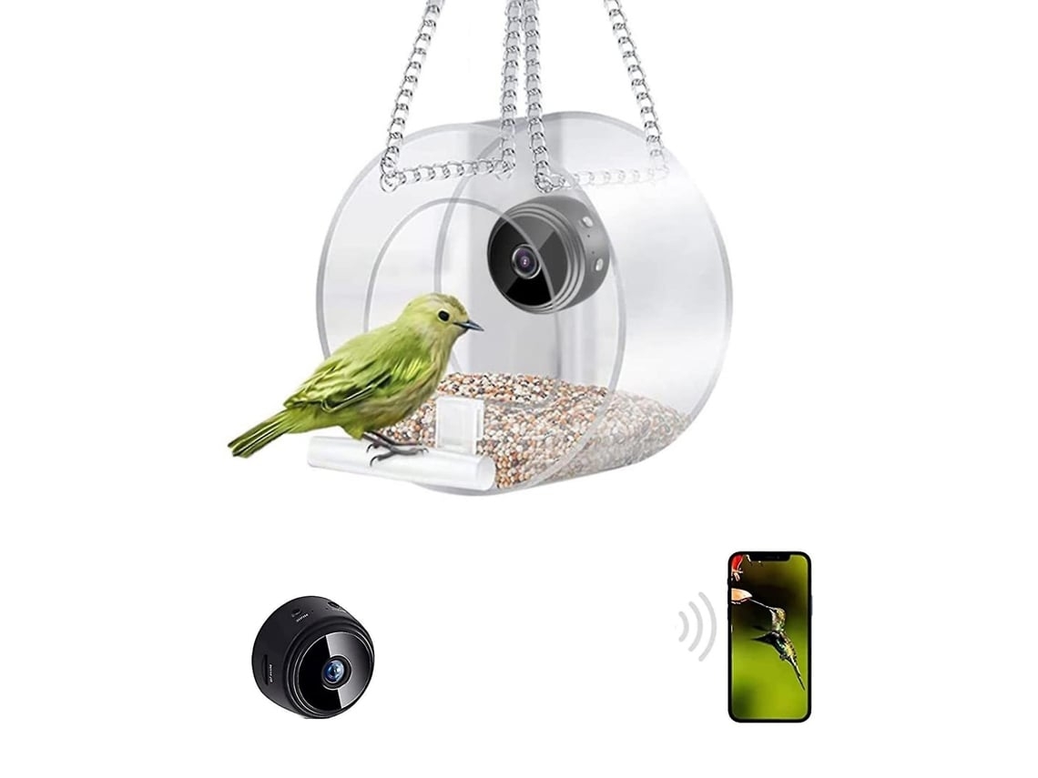 Alimentador de Pássaros Inteligente com Câmera para Gravação Automática de Vídeo de Pássaros Es Brilvibera_ptg