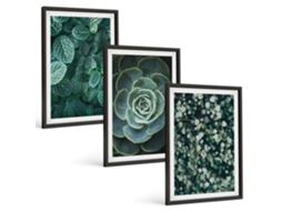 Conjunto De Pinturas Suculentas Moldura Preta Quadros Para O Escritório Espelharte (3 Piezas De 40x60 Cm)