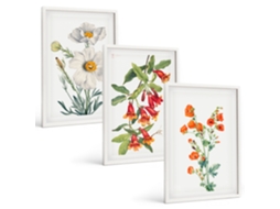 Conjunto De Pinturas Composições Florais Retrô Espelharte (3 Peças 40x60 Cm)