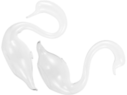 Conjunto De 2 Vasos Decorativos Em Formato De Cisne, Vasos De Vidro Para Hidroponia, Vasos Para Plan Gokoco