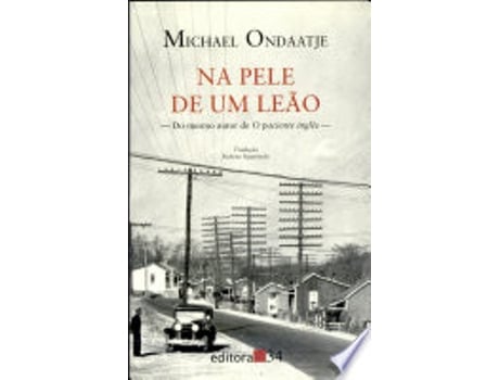 Livro NA PELE DE UM LEÃO de ONDAATJE, MICHAEL (Português do Brasil)
