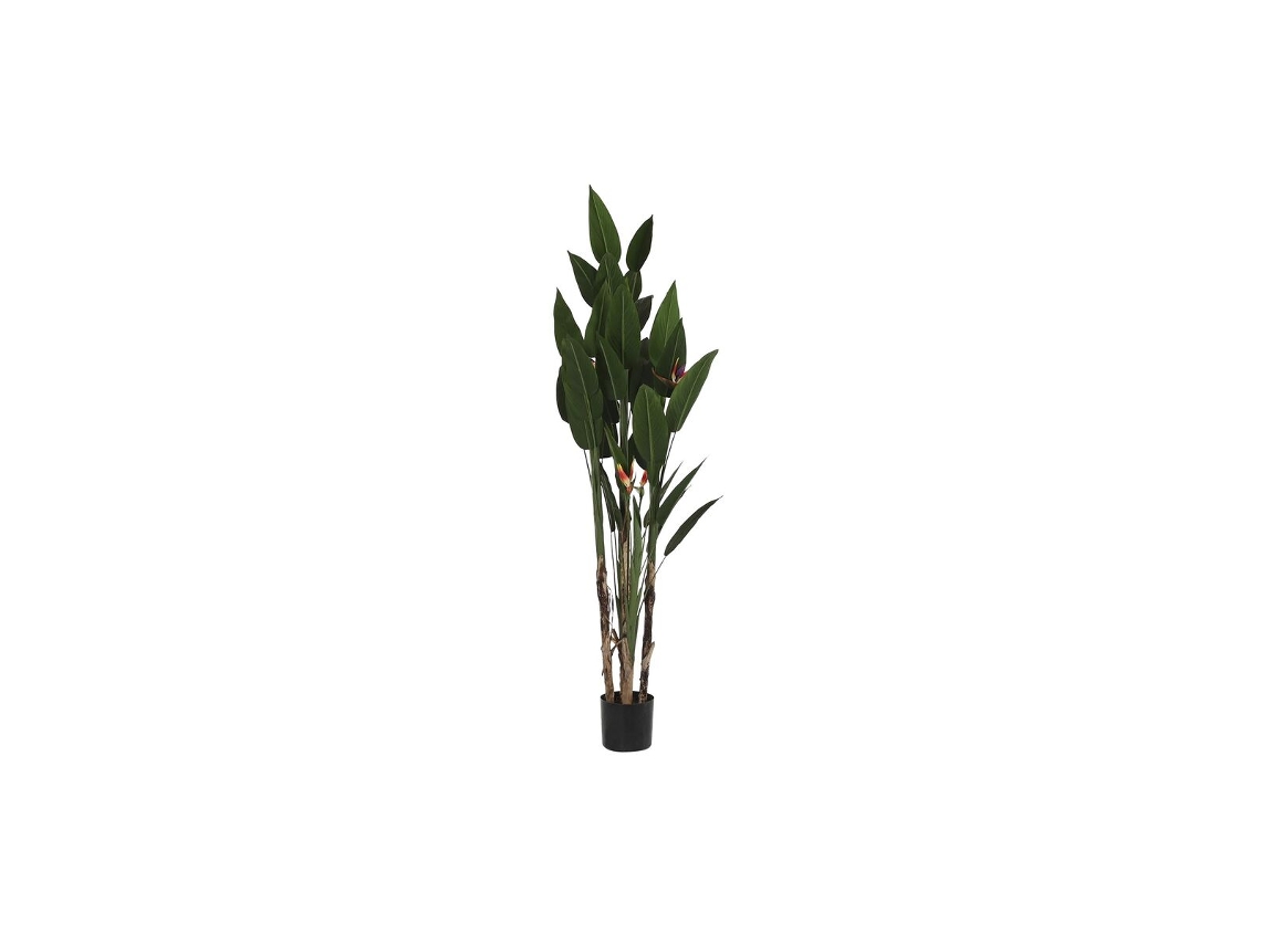 Planta Decorativa Dkd Home Decor 90 X 90 X 200 Cm