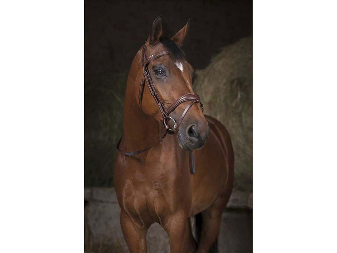Rédeas Do Canva 16 Mm Castanho Fullnorton Equestrian
