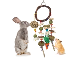 2026 accesorios de Cuidado Dental Y Entretenimiento para Mascotas Pequeñas: Conejos, Chinchillas, Cobayas