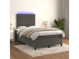 Vidaxl Cama Box Spring C/ Colchão/led 120x200cm Veludo Cinzento-escuro