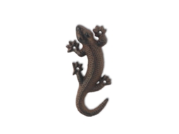 Lagarto BY SIGRIS