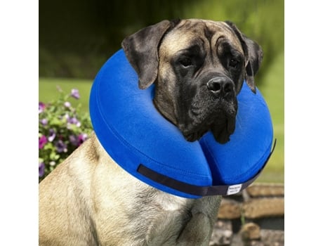 BENCMATE Colar Inflável Protetor para Cães e Gatos Colar de Recuperação em Cone Suave que não Bloqueia a Visão