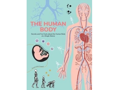Livro human body de cristina peraboni (inglês)