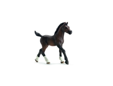 Figura  Cria de Cavalo Arabian