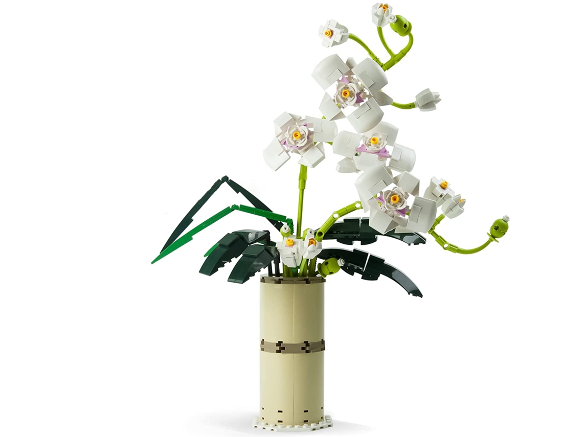 Kit de Construção de Buquê de Flores Conjuntos de Coleção Botânica de Orquídeas para Adultos de Blocos de Construção Incluindo Vaso JEDBESETZT