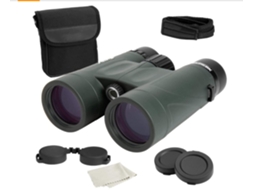 Nature Dx 8x42 Bak 4 Prisma Verde Bestvite