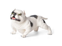 Modelo De Cachorro Simulação Brinquedo Educativo Decoração Mesa Ornamentos De Animal