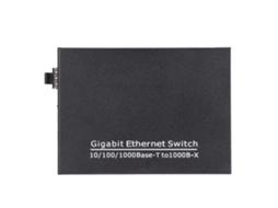 Switch Fibra Óptica Gigabit LAXISCREED